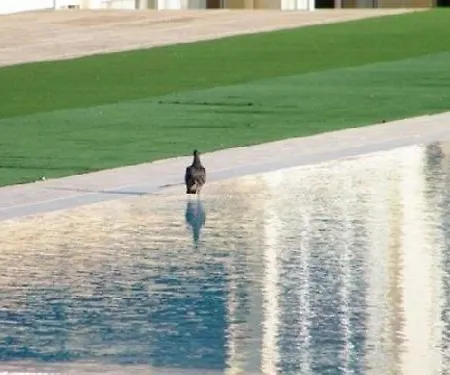 Inatel Hotel Porto Santo