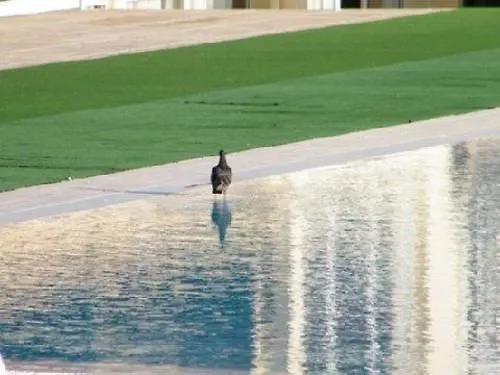 Inatel 酒店 圣港